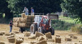 Entreprises agricoles : une r&eacute;duction des cotisations patronales plus g&eacute;n&eacute;reuse