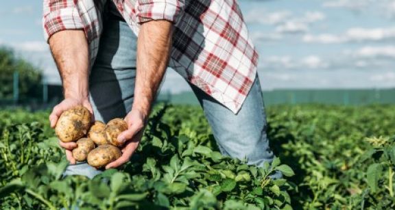 Exon&eacute;ration de cotisations pour les travailleurs occasionnels agricoles
