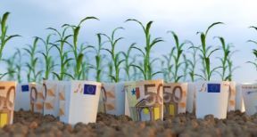 Agriculture biologique : les retards de paiement des aides bient&ocirc;t rattrap&eacute;s ?