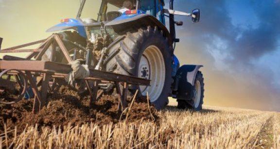 Droit de pr&eacute;emption de l’agriculteur : quand le domaine mis en vente est indivisible