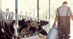 Transmission de biens ruraux lou&eacute;s par bail &agrave; long terme : du nouveau