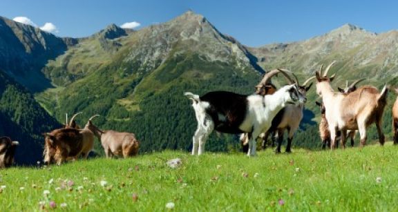 Nouvelle d&eacute;limitation des zones agricoles d&eacute;favoris&eacute;es