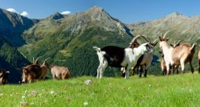 Nouvelle d&eacute;limitation des zones agricoles d&eacute;favoris&eacute;es