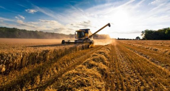 Bail rural : quand les usages agricoles s’appliquent