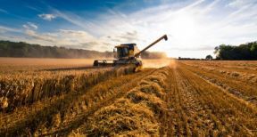 Bail rural : quand les usages agricoles s’appliquent