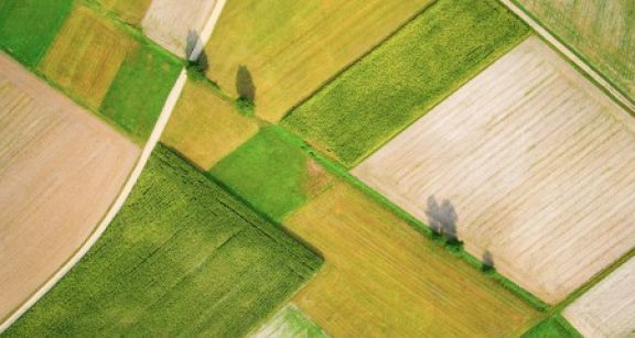 Le march&eacute; des terres agricoles en 2018