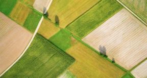 Le march&eacute; des terres agricoles en 2018