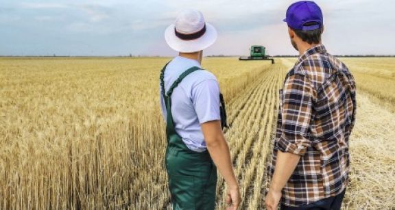 L’obligation de cotiser au r&eacute;gime des non-salari&eacute;s agricoles