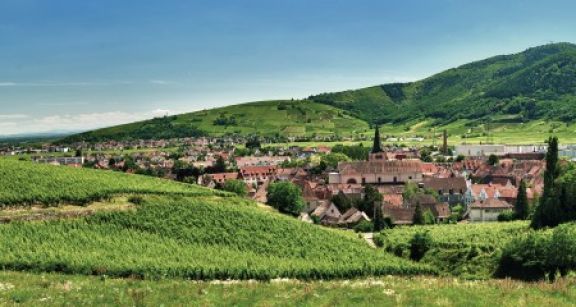De nouvelles exon&eacute;rations d’imp&ocirc;ts locaux pour les commerces de proximit&eacute;