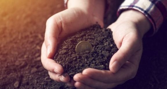 Versement des aides Pac 2019 : prenez date !