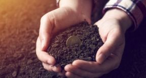 Versement des aides Pac 2019 : prenez date !