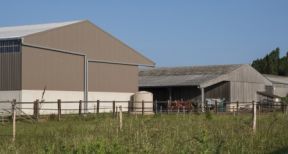 Indemnisation d’un agriculteur en fin de bail : gare au respect des conditions requises !
