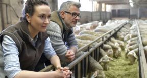 Conjoint travaillant sur l’exploitation agricole : d&eacute;claration obligatoire !
