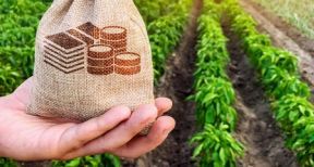 En 2017, les agriculteurs ont gagn&eacute;, en moyenne, 1 650 € par mois