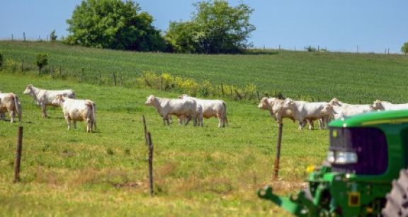 Fiscalit&eacute; agricole : quelles sont les nouveaut&eacute;s pour 2020 ?