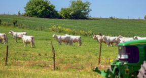 Fiscalit&eacute; agricole : quelles sont les nouveaut&eacute;s pour 2020 ?