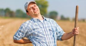 Agriculteurs : dans quel d&eacute;lai d&eacute;clarer un accident du travail ?