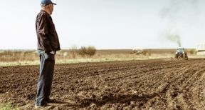 Refus de renouvellement d’un bail rural &agrave; long terme &agrave; un locataire &acirc;g&eacute;