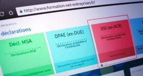 Non-salari&eacute;s : il est temps de transmettre la DSI
