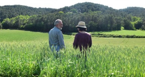 D&eacute;c&egrave;s d’un exploitant agricole et option pour une assiette forfaitaire de cotisations