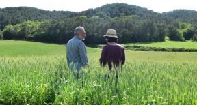 D&eacute;c&egrave;s d’un exploitant agricole et option pour une assiette forfaitaire de cotisations