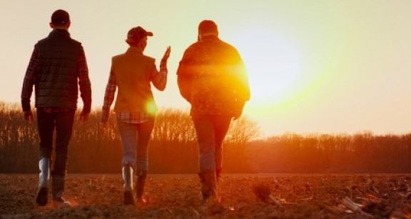 Exploitants agricoles : option pour l’assiette annuelle des cotisations sociales