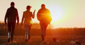 Exploitants agricoles : option pour l’assiette annuelle des cotisations sociales