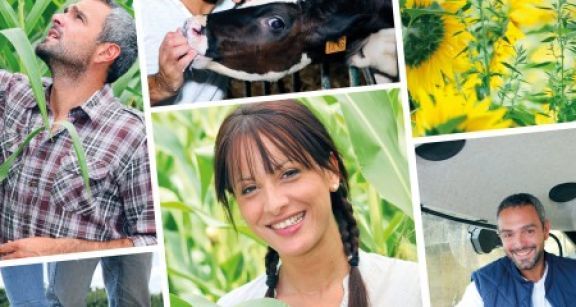 Coop&eacute;ratives agricoles et cotisation fonci&egrave;re des entreprises