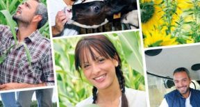Coop&eacute;ratives agricoles et cotisation fonci&egrave;re des entreprises