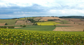 Nouveau programme d'aide aux investissements FranceAgriMer : r&eacute;duction des produits phytosanitaires