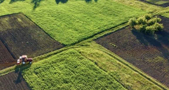 Gare &agrave; la cession du bail rural entre soci&eacute;t&eacute;s d’un m&ecirc;me groupe !