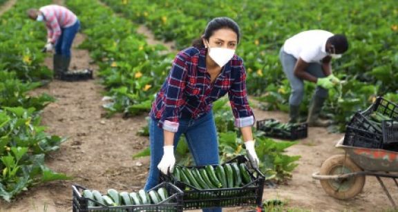 Une « aide pr&eacute;vention Covid » pour le secteur agricole