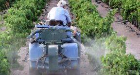 Glyphosate : les interdictions et les restrictions d’usage pr&eacute;cis&eacute;es