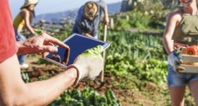 Le recensement agricole 2020 est lanc&eacute; !