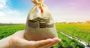 Exploitants agricoles en difficult&eacute; : un pr&ecirc;t participatif jusqu’&agrave; 20 000 € est possible