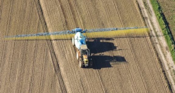 Plan de relance : les mesures pr&eacute;vues pour l’agriculture