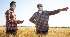 Exploitants agricoles : l’allocation de remplacement est encore de mise !