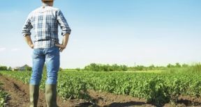 Bail rural : gare au contenu d’un cong&eacute; pour reprise !