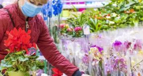 D&eacute;partements reconfin&eacute;s : les commerces qui peuvent rester ouverts