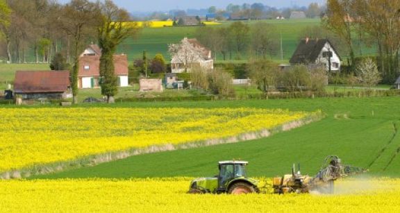 Agriculture : les r&eacute;ductions des zones de non-traitement retoqu&eacute;es par le Conseil constitutionnel !