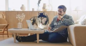 Covid-19 : vers plus de t&eacute;l&eacute;travail