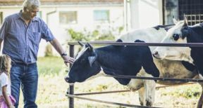 Les petites retraites agricoles revaloris&eacute;es au 1 novembre !