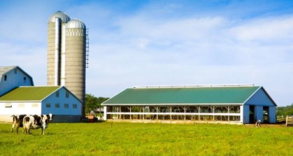 Exon&eacute;ration des plus-values des petites exploitations agricoles : &agrave; quelles conditions ?
