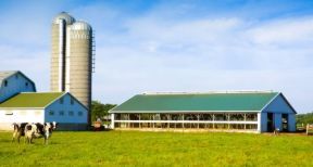 Exon&eacute;ration des plus-values des petites exploitations agricoles : &agrave; quelles conditions ?