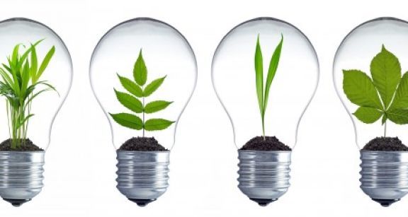 Innover &agrave; la campagne : 10 entrepreneurs r&eacute;compens&eacute;s