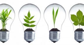 Innover &agrave; la campagne : 10 entrepreneurs r&eacute;compens&eacute;s