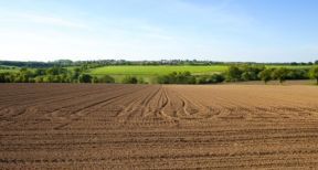 Le march&eacute; des terres agricoles en 2020