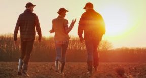 Gare au retrait anticip&eacute; d’une coop&eacute;rative agricole !