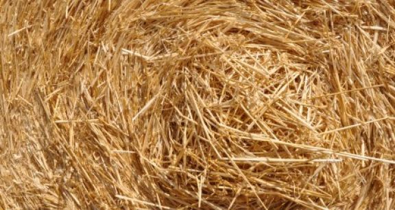 Baux ruraux : hausse du montant des fermages