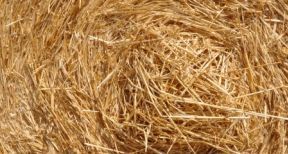 Baux ruraux : hausse du montant des fermages